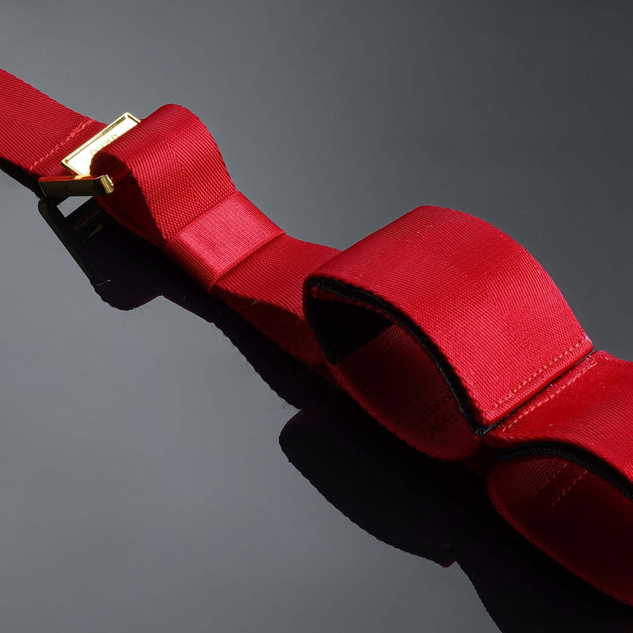 Red bow-knot hogtie bondage gear strap with gold buckle on a reflective black surface.