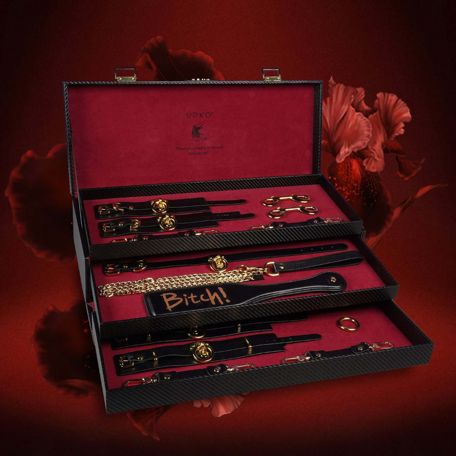 Luxury BDSM bondage tools set in elegant case with gold accents and red lining, featuring collar and leash, wrist cuffs, and more.