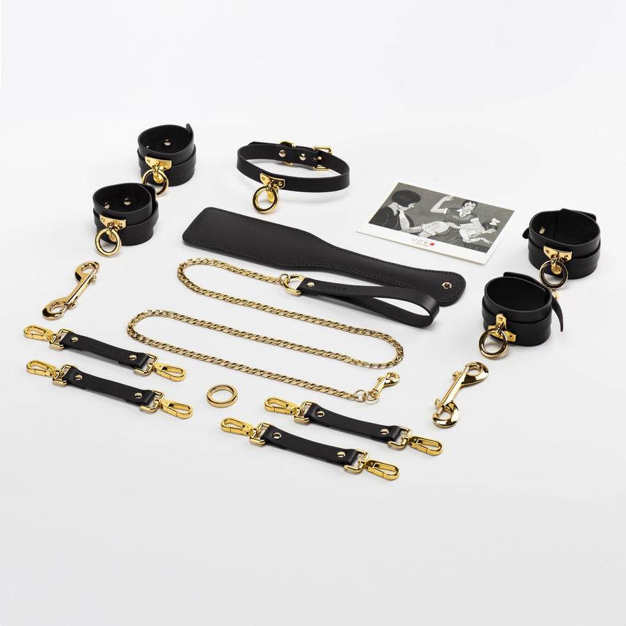 Luxury BDSM 15-piece Sade Trunk Kit